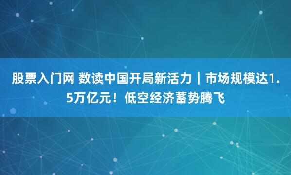 股票入门网 数读中国开局新活力|市场规模达1.5万亿元!低空经济蓄势腾飞