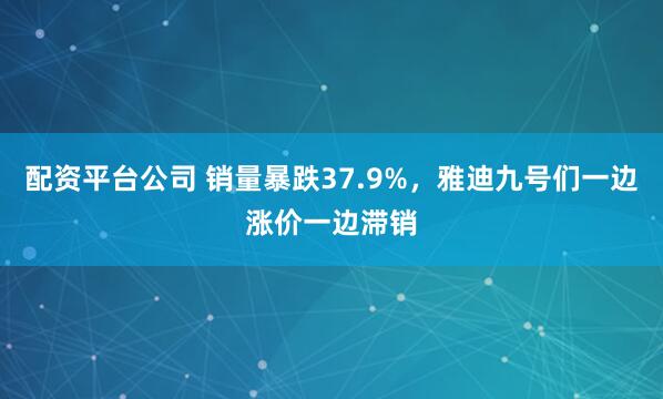 配资平台公司 销量暴跌37.9%，雅迪九号们一边涨价一边滞销